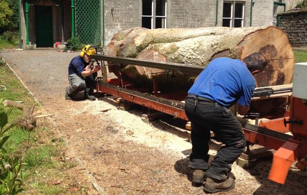 Mobile sawmill