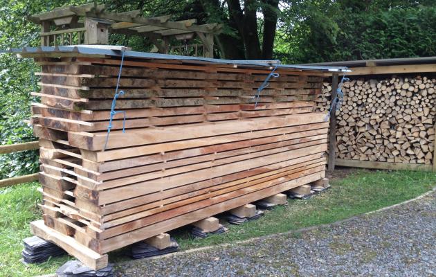 air drying copper beech