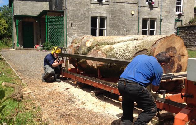 mobile sawmill