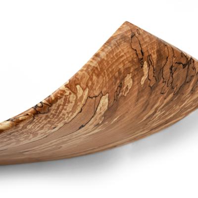 Eagle wing tip